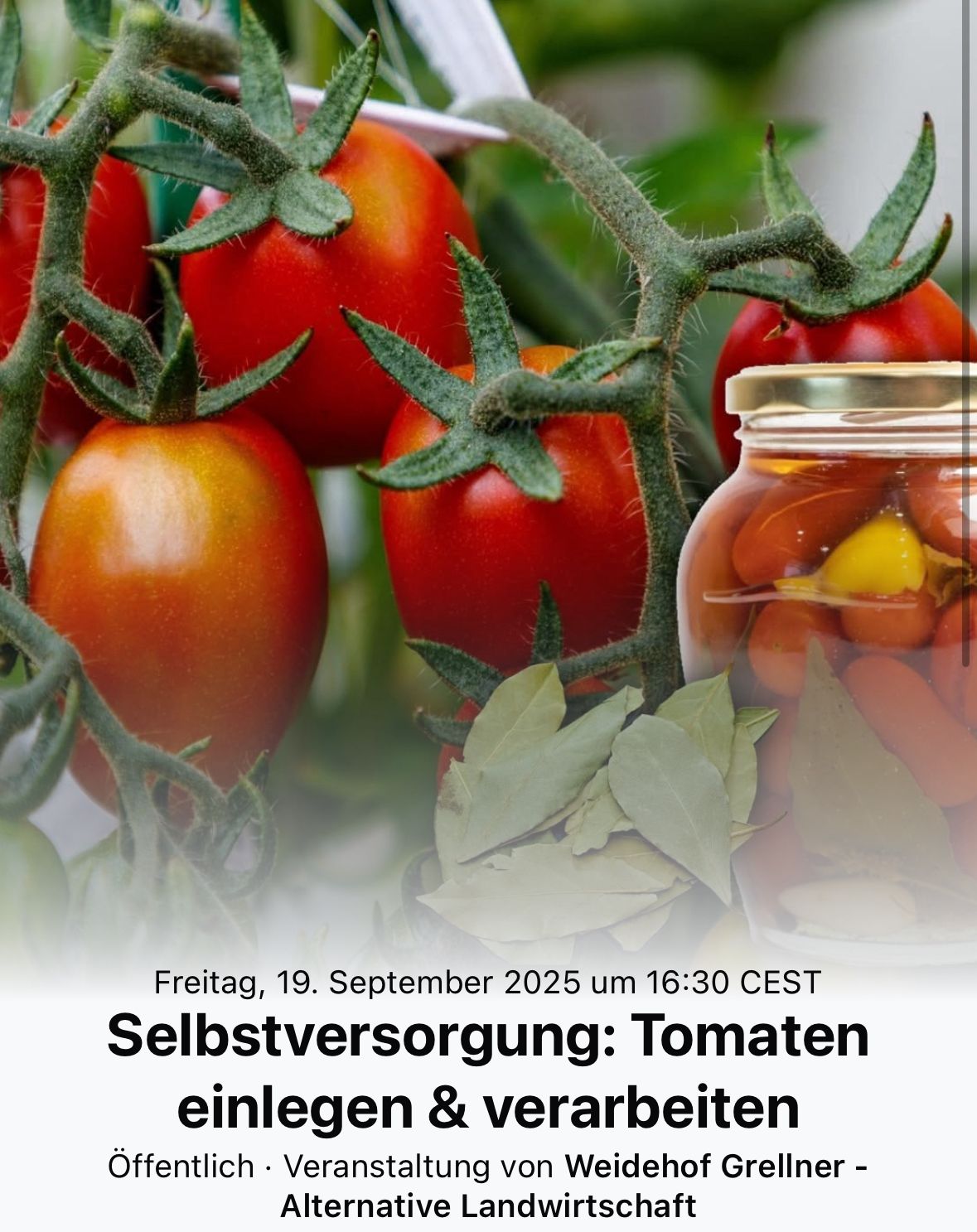 Selbstversorgung: Tomaten einlegen & verarbeiten