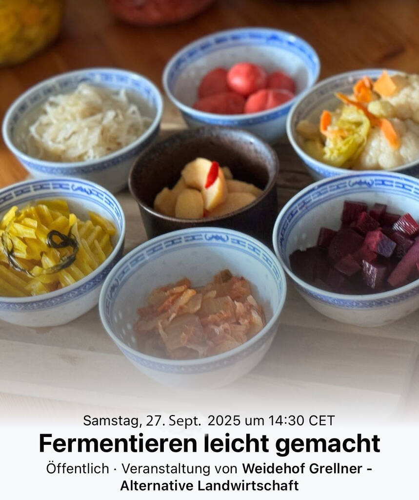 Gemüse fermentieren leicht gemacht