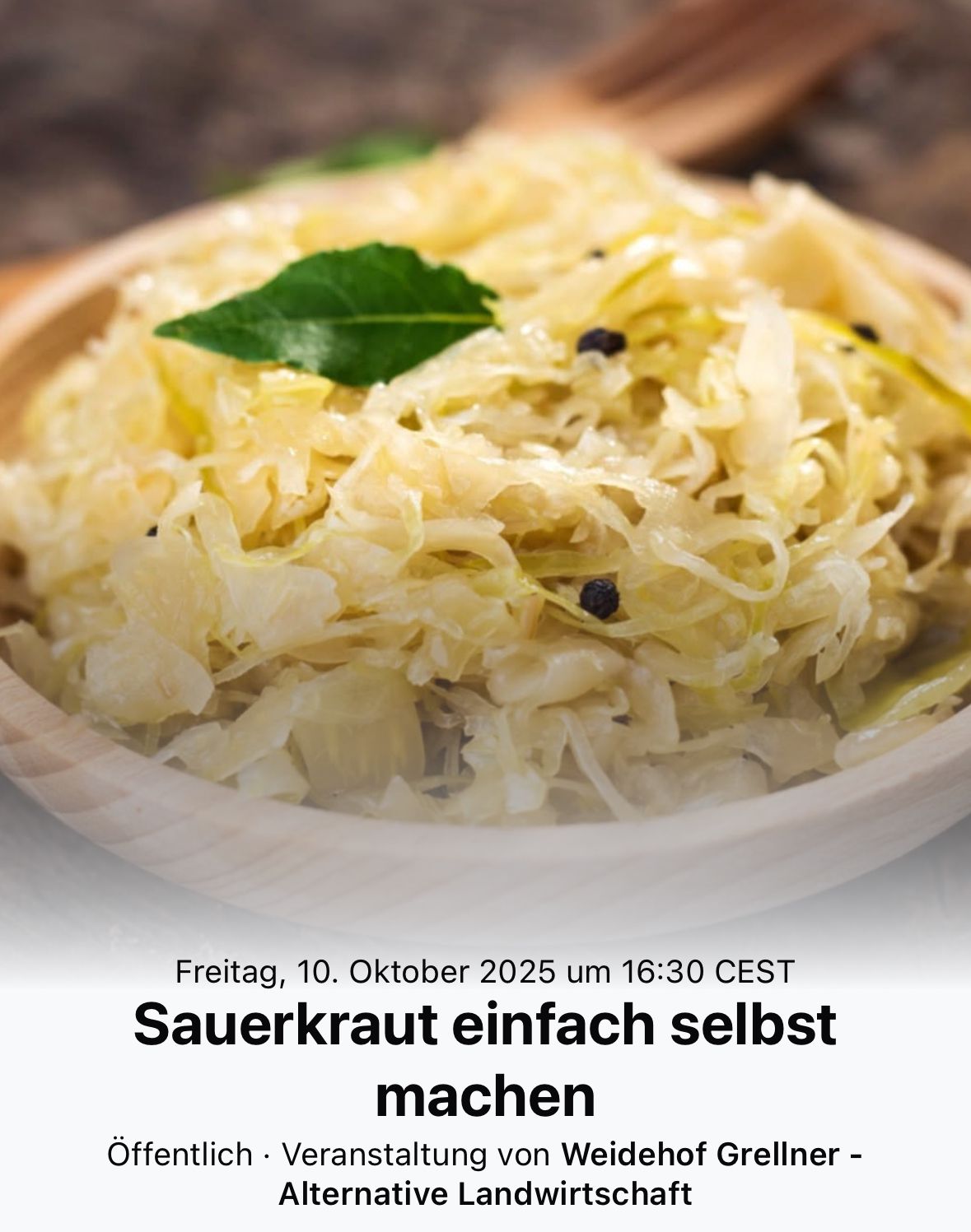 Sauerkraut einfach selbst machen